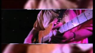 Van Halen - 316 Guitar Solo (Live)