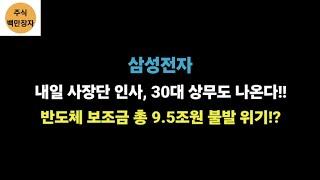 삼성전자 내일 사장단 인사, 30대 상무도 나온다!!  반도체 보조금 총 9.5조원 불발 위기!?