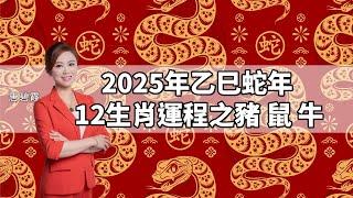 ＃2025年12生肖運程 ︳生肖屬豬鼠牛︳乙巳蛇年運程逐個睇