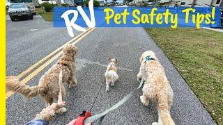 RVing with Pets (KEEP THEM SAFE) Full Time RV Living