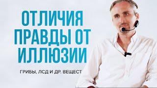 Как отличить реальность от вымысла? Опыт под грибами и веществами