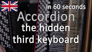 Accordion's third keyboard, free-bass explained in 60s #shorts