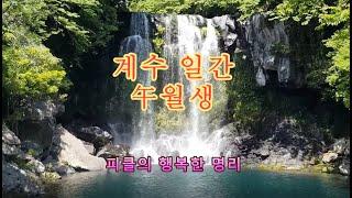 십간론 51 ‍️  계수 일간 오(午)월생 - 피클의 행복한 명리