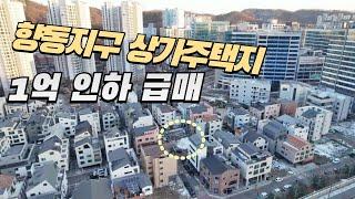 향동지구 상가주택지 1억인하 급매