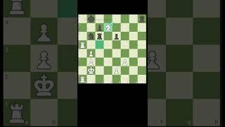 Brilliant move Ep 4: Sacrificing the Knight #shorts #chess  #chessbrilliance  #chessgame