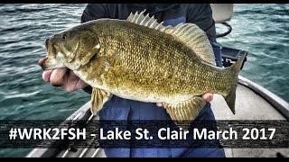 Lake St.Clair Smallmouth Fishing March 2017