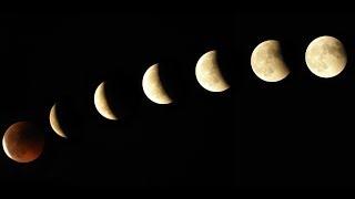 How does the moon effect your cycle and fertilty?