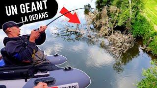 Je pêche là dedans, ça tourne au danger ! (Voici pourquoi il faut pêcher les structures naturelles)