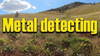 Metal detecting old historic Montana homesteads!  Ep 320 #metaldetecting #treasurehunting #history