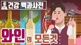 와인의 역사부터 레드와인, 화이트와인, 로제와인, 귀부와인, 아이스와인, 주정강화 와인까지! 와인 시리즈 한번에 보기 @세모지