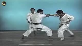 SHOTOKAN karate - The Nakayama - Bassai Dai Kata and Bunkai