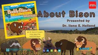 Buddy Bison: All About Bison