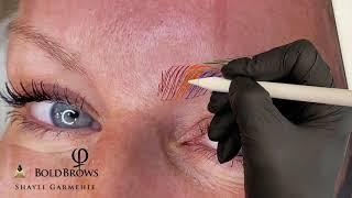 Boldbrows Microblading Sketch on iPad