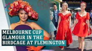 Celebrity glamour in the Birdcage on Melbourne Cup day