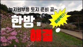 (매물24) 서산 아름답고 예쁜 마을에 위치한 농지원부용 토지