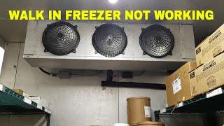 WALK IN FREEZER NOT WORKING