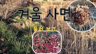 겨울 사면 둘러보기