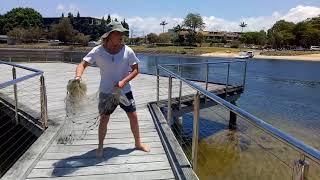 Fishing around gold coast