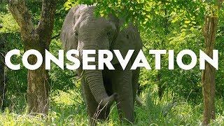 Definitions in the Field: Conservation