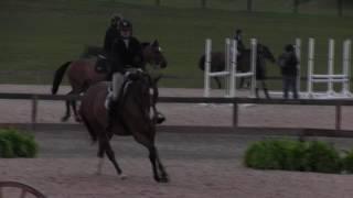 Video of WINDCHILL ridden by AMELIA MC ARDLE from ShowNet!