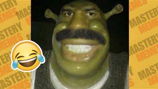 THE ABSURD MEMES I FOUND WITH MEXICAN SHREK