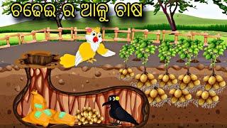 Chadhei Ra Aalu Chasa \\ Odia Stories \\ Odia Gapa \\ Tiki Chadhei Gapa \\ Bird Story \\ Stories