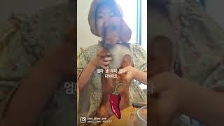 dachshund 강아지 댄스 ezra yrn