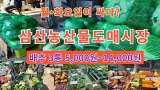 배추 발품을 팔아야(삼산농산물도매시장) ~^힐링여행