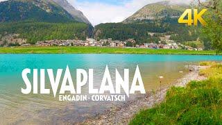 Silvaplana Switzerland, just too beautiful to resist ! Life is celebrated in Silvaplana