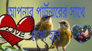 আপনার পার্টনারের সাথে কি দেখা হবে? #tarot #fortune #astrology #future #