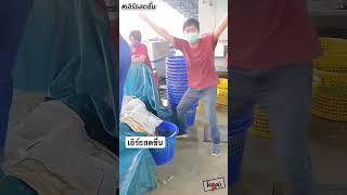 #เอิร์ธสดชื่น #tagple