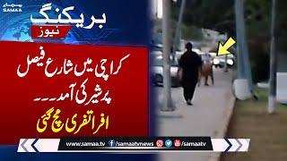 Lion Spotted at Shahrah E Faisal Karachi | Breaking News