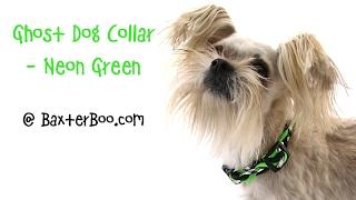 Ghost Dog Collar - Neon Green