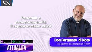 Pedofilia e pedopornografia: il rapporto Meter 2024