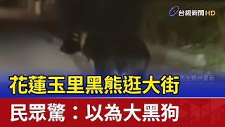 花蓮玉里黑熊逛大街 民眾驚：以為大黑狗