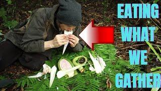 Foraging Bush Food (2 Hour Challenge)