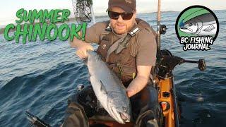 Summer Chinook Salmon Catch Clean Cook