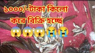 1000/-কিলো মাছ তাজা তাজা মাছ