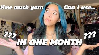 How Much Yarn Can I Use In One Month??