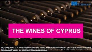 The Cyprus Wines and Wine Tourism in Tsangarides Winery