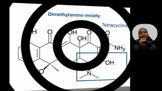 17241D Tetracyclines