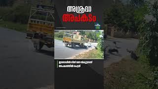 അശ്രദ്ധ അപകടം | Thiruvananthapuram | Latest News | Road Accident