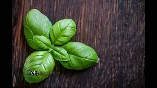 Basil Benefits You Didn’t Know!