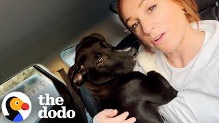 Woman Rescues 3 Puppies Just In Time | The Dodo