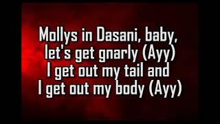 Kodak Black - Gnarly (Feat. Lil Pump) (Lyrics)