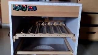 40 eggs automatic incubator Urdu/Hindi