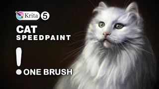 Cat SpeedPaint, digital painting in Krita 5 ,