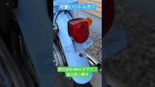 かわいいリトルカブ入荷！埼玉県三郷市のWINGオオタニr6.2.1