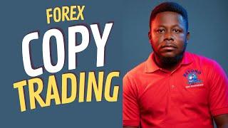 Best Copy Trading in 2024 that Beginner Forex traders can take advantage of