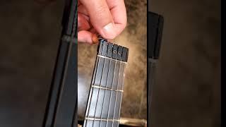 Steinberger Headless Guitar D-Tuner  for / GL / GM / GK / GP　スタインバーガー